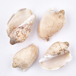 PeachPuff Spiral Shell Beads, Undrilled/No Hole Beads, PeachPuff, 70~95x45~58x32~39mm
