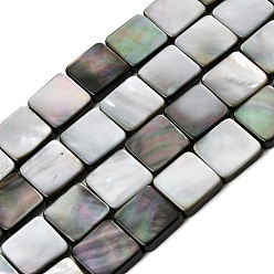 черная губная раковина Натуральный черный оболочки губ бисер нитей, квадратный, чёрные, 12~12.5x12~12.5x3.5 мм, отверстие : 0.5 мм, около 33 шт / нитка, 15.83'' (40.2 см)