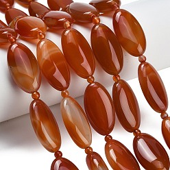 Red Agate Натуральный красный агат бисер нитей, лошадиный глаз , окрашенная и подогревом, с бисером, 29~30x16x8.5~9 мм, отверстие : 1.2~1.4 мм, около 12 шт / нитка, 15.87'' (40.3 см)