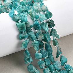Амазонит Необработанные грубые нити из натурального амазонита, самородки, с бисером, 5~18x5~12x4~8 мм, отверстие : 1 мм, около 30~45 шт / нитка, 15.55'' (39.5 см) ~ 15.94'' (40.5 см)