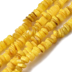 Желтый Естественных пресноводных стеклянные бусы, окрашенные, самородки, желтые, 4.5~9x4.5~7x1.5~5 мм, отверстие : 0.8 мм, около 163~165 шт / нитка, 14.88~15.08'' (37.8~38.3 см)