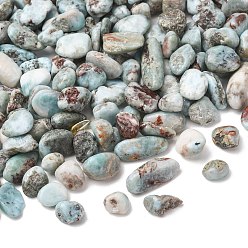 Ларимар Природные Larimar бусы, самородки, нет отверстий / незавершенного, 8~27.5x9~12x2~10 мм