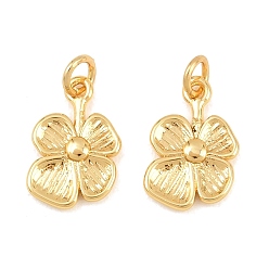 Настоящее золото 18K Латунь прелести, , без свинца и без кадмия, стойки покрытие, долговечный, реальный 18 k позолоченный, 13.5x8.5x2 мм, Перейти кольцо: 4x0.7 мм, внутренний диаметр: 2.5 мм