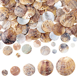 (52) Непрозрачная лаванда 100 шт. 5 стили подвески из натуральной ракушки акойя, перламутровые подвески, плоско-круглые, разноцветные, 9~30x1~5 мм, отверстие : 1.5~4 мм, 20 шт / стиль