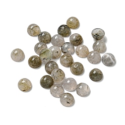 Лабрадорита Природные кабошон лабрадора, полукруглый, 5x2.5 мм
