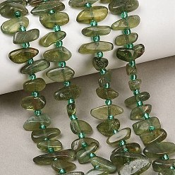 Апатит Естественный зеленый апатит бисер нити, самородки, с бисером, 5~18x3.5~8.5x2.5~6.5 мм, отверстие : 0.7~1 мм, около 46~51 шт / нитка, 15.35''~16.14'' (39~41 см)