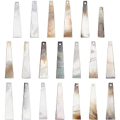 черная губная раковина 20шт. подвески из натуральной черной ракушки для губ, трапециевидный шарм, 25~30x5~7x1~2 мм, отверстие : 1~1.2 мм