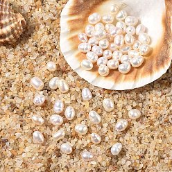 Кремово-белый 10шт. натуральные пресноводные жемчужные бусины, рис, кремово-белые, 3.5~5x3.5~4.5 мм, отверстие : 0.6 мм