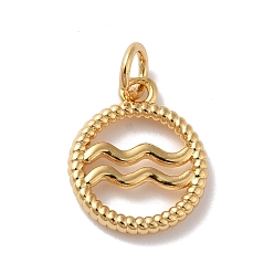 Водолей Латунь прелести, без кадмия и без свинца, реальный 18 k позолоченный, кольцо с двенадцатью созвездиями, Водолей, 14.5x12x2 мм, отверстие : 3.4 мм