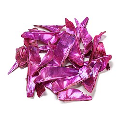 Фуксин Большие подвески из натуральной ракушки акоя, окрашенные распылением, самородки прелести, фуксиново-красные, 35.5~55x8~20x4~12 мм, отверстие : 1.2 мм