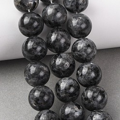 Larvikite Натуральные нити бус из ларвикита, гладкий круглый, 16 мм, отверстие : 1.2 мм, около 24~25 шт / нитка, 15.16~15.79'' (38.5~40.1 см)