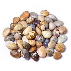 Другие Нефриты Натуральный нефрит имитация гальки орнамент, для аквариума, пруд, карликовое дерево, сад, путь, бассейн, 20~30 мм