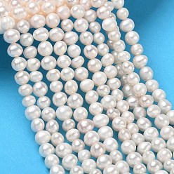 Beige Natürliche kultivierte Süßwasserperlenperlenstränge, Klasse 2 a, Kartoffel, beige, 4.8~5.2 mm, Bohrung: 0.5 mm, ca. 78 Stk. / Strang, 13.78'' (35 cm)