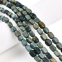 Другие Нефриты Нити бусин из натурального нефрита шушан, самородки, упавший камень, 3.5~8.5x4.5~7.5x4.5~7.5 мм, отверстие : 0.7 мм, около 53~60 шт / нитка, 14.96~15.55 дюйм (38~39.5 см)