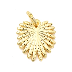 Настоящее золото 18K Латунь прелести, лист, долговечный, стойки покрытие, с целью перехода в кольце, реальный 18 k позолоченный, 12x11x1 мм, отверстие : 3.2 мм