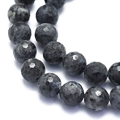 Larvikite Натуральные нити бус из ларвикита, круглые, граненый (128 граней), 10 мм, отверстие : 1.2 мм, около 38 шт / нитка, 15.55 дюйм (39.5 см)