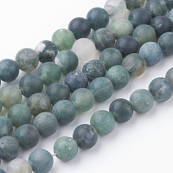 Мосс Агат Природные моховой агат нитей бисера, круглые, матовые, 6~6.5 мм, отверстие : 1 мм, около 60 шт / нитка, 14.9 дюйм (38 см)
