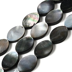 черная губная раковина Натуральный черный оболочки губ бисер нитей, Плоско-овальные, 17~18x13x3.5~4 мм, отверстие : 1 мм, около 22 шт / нитка, 15.75'' (40 см) ~ 15.79'' (40.1 см)