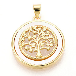 Настоящее золото 18K Латунный паве натуральный ракушка полая плоская круглая с подвесками в виде дерева жизни, цвет морской раковины, реальный 18 k позолоченный, 24x22x4 мм, отверстие : 5x3.5 мм