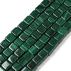 Малахит Нити натуральных бусин из малахлита, кубические, 5~6.5x5~6.5x5~6.5 мм, отверстие : 0.9 мм, около 64~66 шт / нитка, 15.43'' (39.2 см)