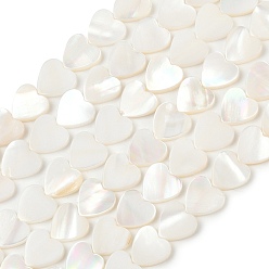 Морская Ракушка Естественных пресноводных оболочки бисер нитей, сердце, цвет морской раковины, 9.5~10x9.5~10x2.5 мм, отверстие : 0.5 мм, около 43 шт / нитка, 15.35''~15.55'' (39~39.5 см)