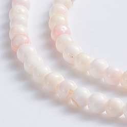 Pink Shell Natural Pink Shell Beads Strands, Round, 2.5~3mm, Hole: 0.5mm, about 154 pcs/strand, 15.94 inch(40.5cm)
