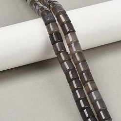 Серый агат Серые натуральные бусины из агата , колонка, 9~10x10 мм, отверстие : 1 мм, около 40 шт / нитка, 15.55 дюйм (39.5 см)