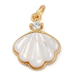 Настоящее золото 18K Латунные микро проложить кубического циркония подвески, с оболочкой, долговечный, без свинца и без кадмия, формы раковины, реальный 18 k позолоченный, 17x13.5x4 мм, отверстие : 3 мм