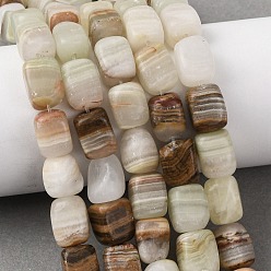 Другие Нефриты Природные Афганские нефритовые бусы пряди, кубоид, 12~13x8~10x8~10 мм, отверстие : 1 мм, около 30~31 шт / нитка, 14.76'' (37.5 см) ~ 14.96'' (38 см)