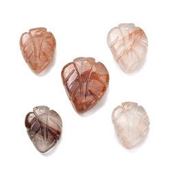 Красный Кварц Резные подвески из натурального гематоидного кварца/железистого кварца, лист прелести, 18~21.5x13~18x6~7 мм, отверстие : 1 мм