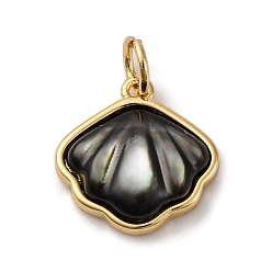 черная губная раковина Подвески из натуральной черной ракушки в латунной оправе, подвески в форме ракушек с соединительными кольцами, реальный 18 k позолоченный, стойки покрытие, долговечный, без кадмия и без свинца, 14x13.5x4 мм, отверстие : 3.5 мм