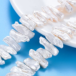 Морская Ракушка Природные Кеши жемчуг пряди, культивированный пресноводный жемчуг, самородки, цвет морской раковины, 4~14x12~28x3~6 мм, отверстие : 0.6 мм, около 50~54 шт / нитка, 15.35 дюйм (39 см)