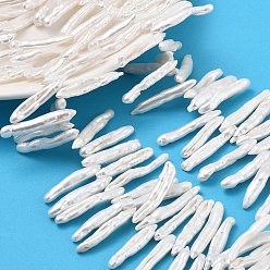 Морская Ракушка Натуральный жемчуг в стиле барокко кеши, культивированный пресноводный жемчуг, Топ пробуренной, придерживаться, класс 7а+, цвет морской раковины, 22~40x4~6x3~5 мм, отверстие : 0.6 мм, около 106 шт / нитка, 15.55'' (39.5 см)