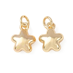 Настоящее золото 18K Латунные подвески, звезды прелести, без кадмия и без свинца, стойки покрытие, долговечный, с целью перехода в кольце, реальный 18 k позолоченный, 9.5x7.5x4 мм, отверстие : 2.3 мм