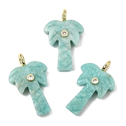 Амазонит Резные подвески из натурального амазонита, Подвески в виде кокосовых пальм с фурнитурой из прозрачных кубических цирконий, инкрустированной латунью методом микропаве., золотые, стойки покрытие, 35~36x21.5~22x0.5 мм, отверстие : 3.7 мм