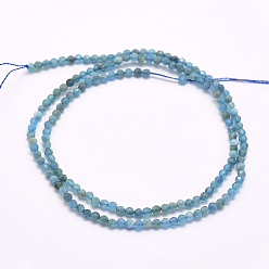 Apatite Natural Apatite Beads Strands, Faceted, Round, 2mm, Hole: 0.5mm, about 166~173pcs/strand, 15.5 inch(39cm)