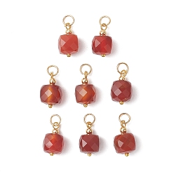 Красный Агат Натуральные ограненные кубические подвески из сердолика, с латунными круглыми распорными бусинами, золотые, 14.5x8.5x8.5 мм, Перейти кольцо: 5x0.8 мм, внутренний диаметр: 3.4 мм