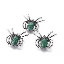 Малахит Синтетическая малахитовая брошь, с медными находками и стеклом, паук, античное серебро, 34~35x41~42x7 мм, отверстие : 3x5 мм