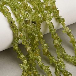 Peridot Natural Peridot Beads Strands, Chip, 4~7mm, Hole: 0.8mm, 31.50''(80cm)