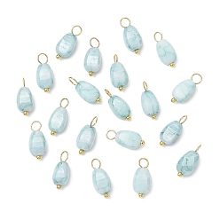 Светло-голубой 20 шт. непрозрачные стеклянные подвески с эффектом кракле, окрашенные методом выпечки, семена дыни, с медными петлями, золотые, граненые, светло-голубой, 13.5x6x4.5 мм, отверстие : 3 мм, 20 шт / комплект