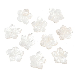 Морская Ракушка Резные бусины из натуральной белой ракушки, цветок, цвет морской раковины, 20x18.5x2.5 мм, отверстие : 1 мм