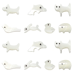 Mixed Shapes 14 шт. 7 стили наборы бусин из натуральных белых ракушек с изображением животных, разнообразные, 6.5~11.5x9~16.5x2~2.5 мм, отверстие : 0.8~0.9 мм, 2 шт / стиль