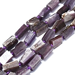 Lépidolite Perles naturelles de perles de lépidolite, nuggets, 6~12x6~7mm, Trou: 0.8mm, Environ 26~35 pcs/chapelet, 15.55''~16.14'' (39.5~41 cm)