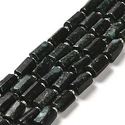 Fuchsite Бусины из натурального фуксита, с бисером, граненые, колонка, 8.5~11x5.5~6.5 мм, отверстие : 1 мм, около 14~15 шт / нитка, 7.48'' (19 см)