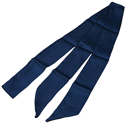 Прусский Синий Узкие резинки для волос из полиэстера, модный шейный платок, для женщин, девочки, берлинская лазурь, 1960x53x0.6 мм