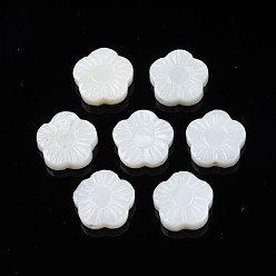 Coquillage De Mer Perles de coquillages naturels d'eau douce, fleur, couleur de coquillage, 10x10x4mm