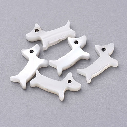 Морская Ракушка Щенок натуральная пресноводная ракушка, силуэт собаки, цвет морской раковины, 8.5x13.5x2 мм, отверстие : 0.5 мм