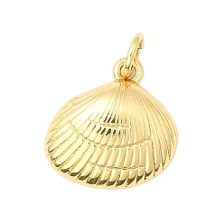Shell Shape Латунь прелести, с целью перехода в кольце, стойки покрытие, долговечный, без свинца и без кадмия, реальный 18 k позолоченный, формы раковины, 14x14x4 мм, отверстие : 3.5 мм