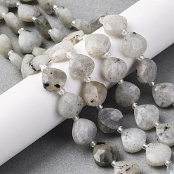 Лабрадорита Природные лабрадорита бисер нитей, граненое сердце, с бисером, 12x12x5 мм, отверстие : 1.2 мм, около 12 шт / нитка, 6.50'' (16.5 см)