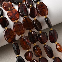 Седло Коричневый Янтарные шарики нити, самородки, упавший камень, с бисером, седло коричневый, 8~14x6~10x3~5 мм, отверстие : 0.6 мм, около 32 шт / нитка, 14.76''~14.96'' (37.5~38 см)